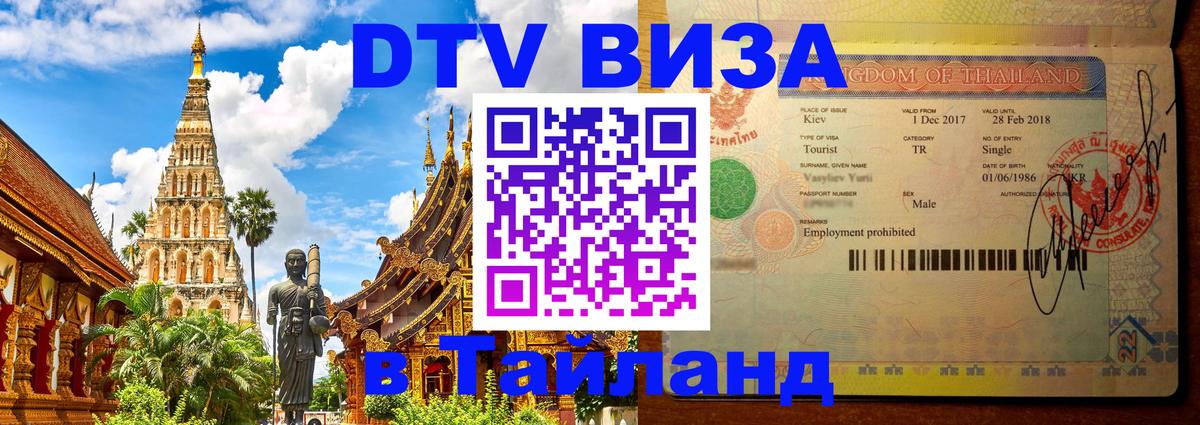 Сколько стоит DTV виза — актуальные цены, оформление даже без документов - Набережные Челны 